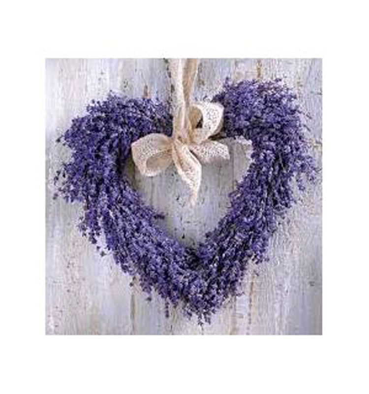 Lunsj serviett, Lavender Hearth, fra ppd. 
